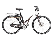 Sonderangebote, spezielle e-Bikes